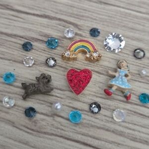 🦉Girl & Her Dog Charm Set